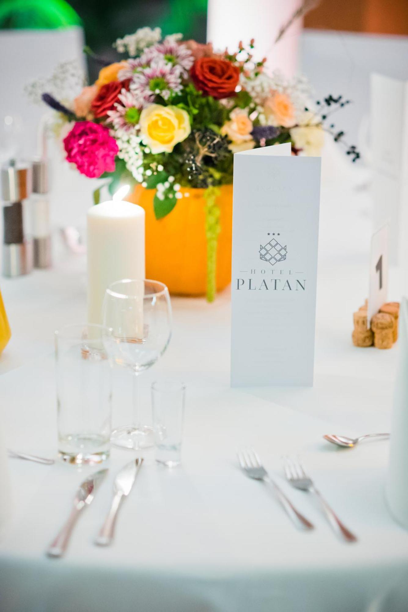 Готель Platan 3*